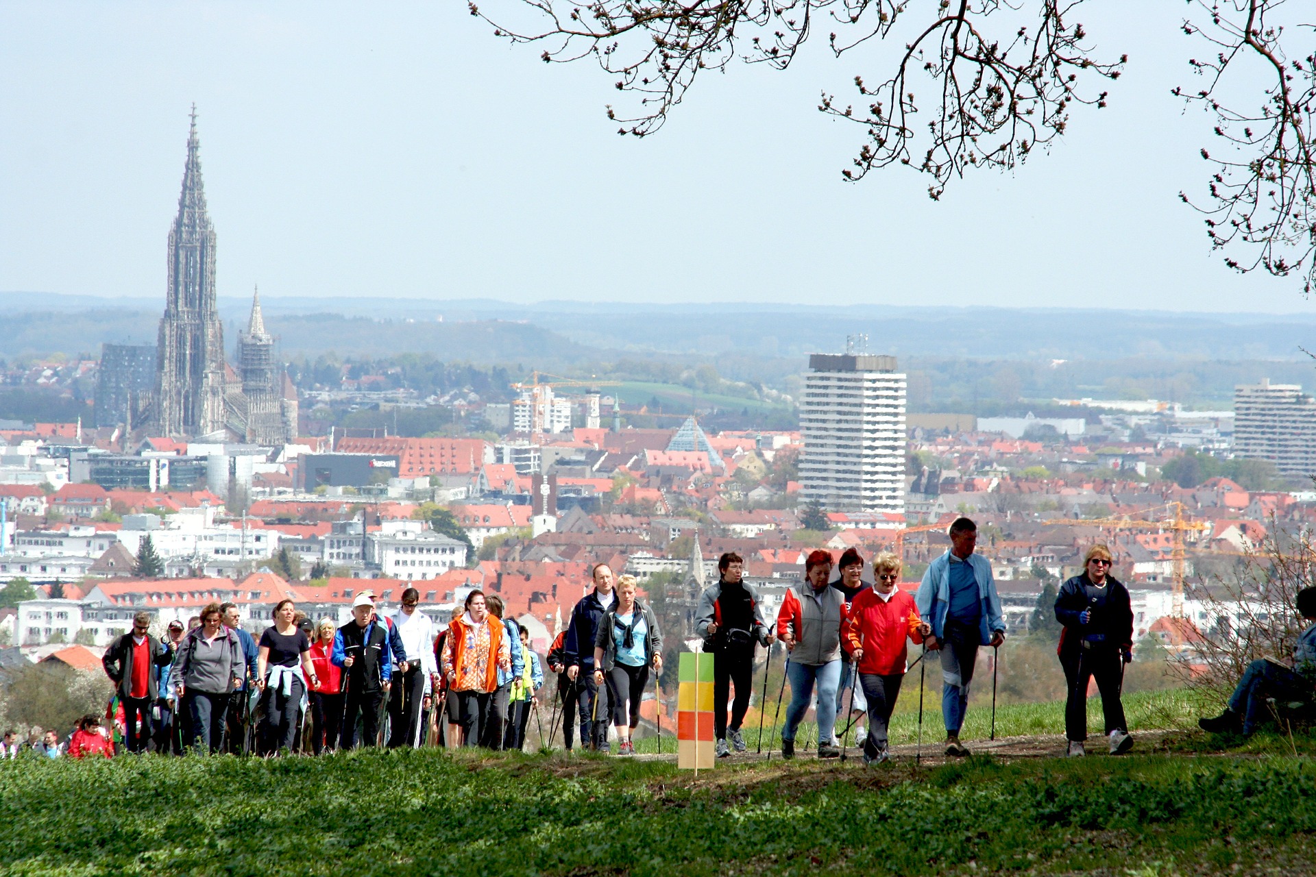 nordic walking dla seniorów