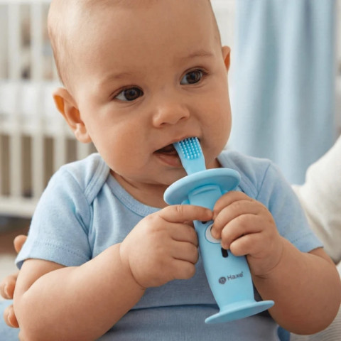 Muzyczna szczoteczka-gryzak do zębów dla dzieci Haxe Lulino - kolor Niebieski - Galeria zdjęcie 11