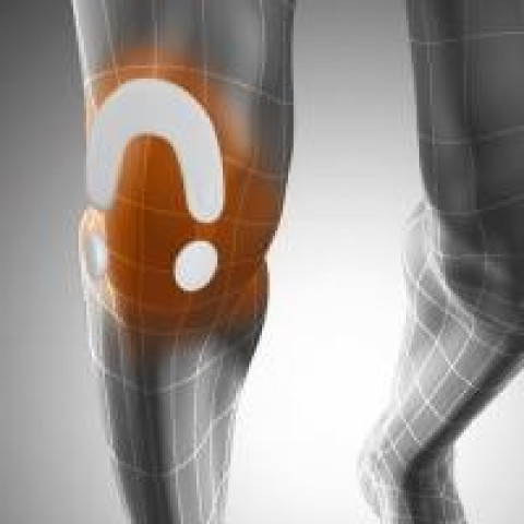 Orteza stawu kolanowego MENISKUS-KNEE SUPPORT - 5 - Galeria zdjęcie 2